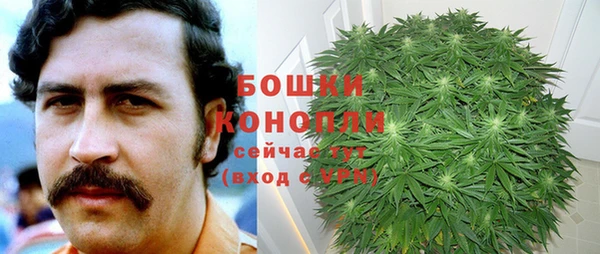 дурь Богородицк