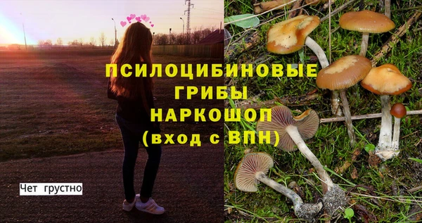 не бодяженный Балахна