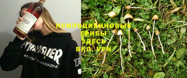 дурь Богородицк