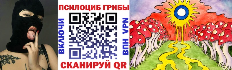 OMG   Городовиковск  Галлюциногенные грибы GOLDEN TEACHER 