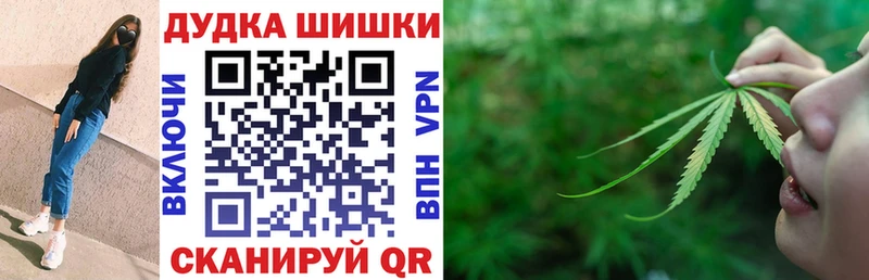 Шишки марихуана марихуана Городовиковск